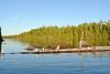 Poplar Lake near the entrance to the Boundary Waters Canoe Area Wilderness. All photos by Maggie Friedrichs